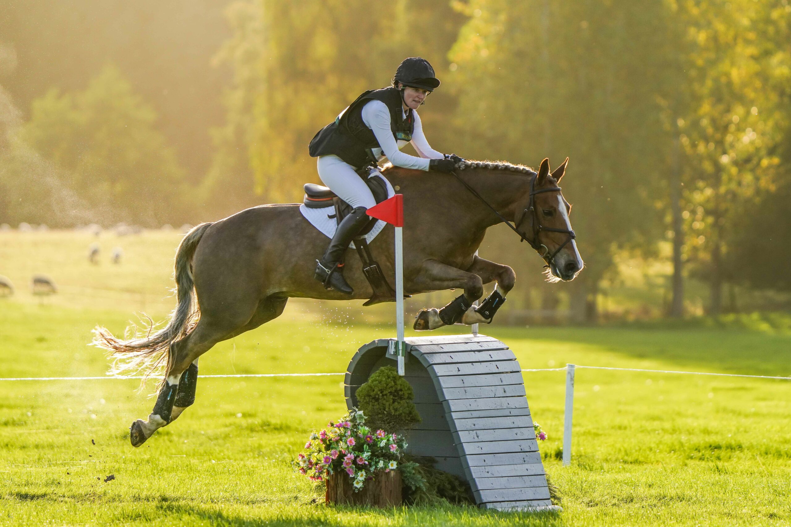 Are you betting on nothing going wrong? Why it’s essential to be insured.