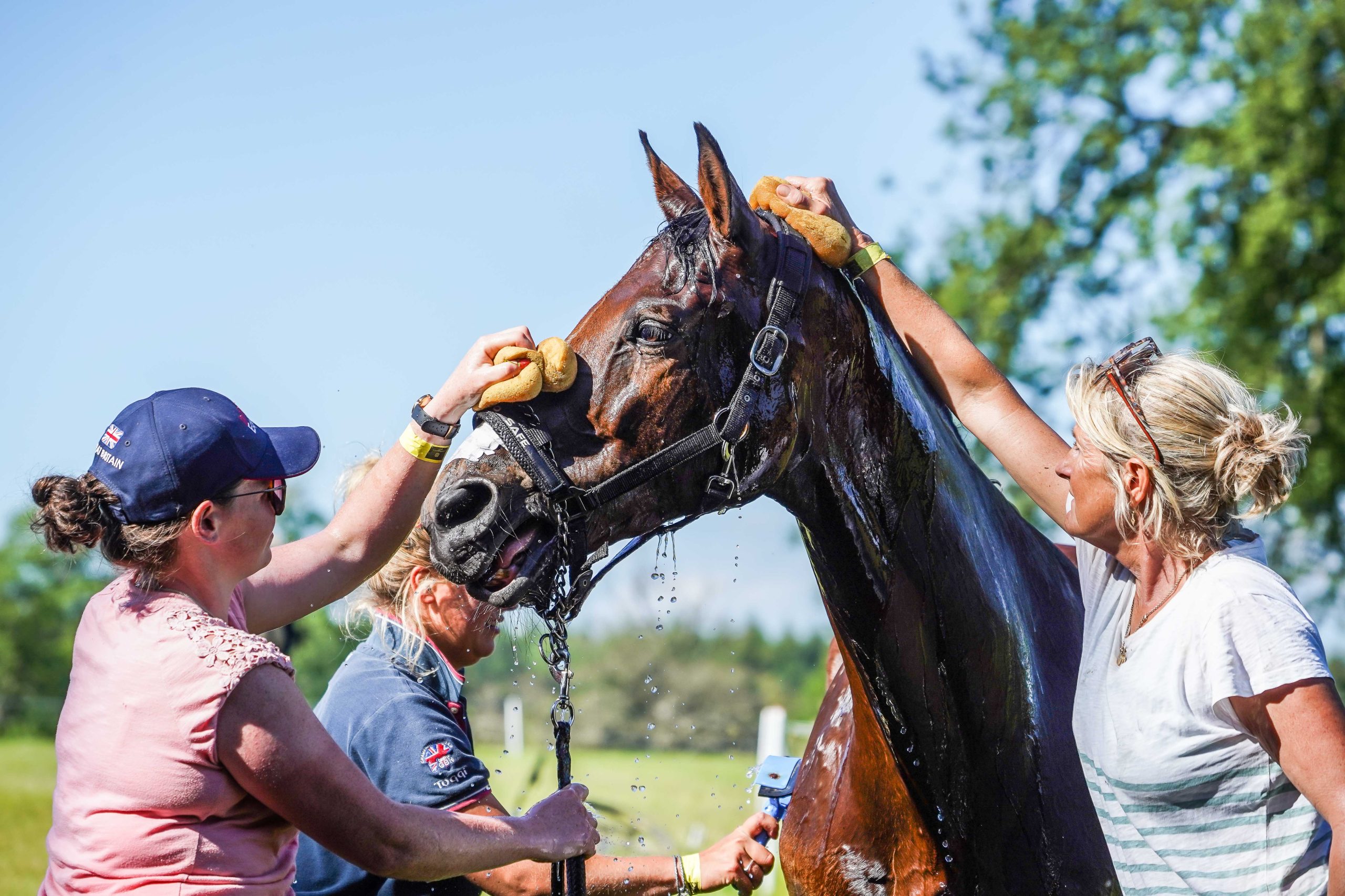 Hydration tips for you and your horse